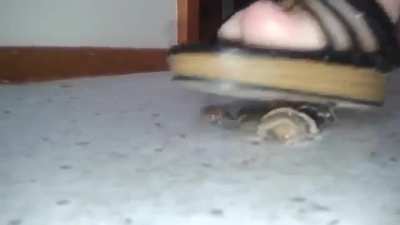 she turns it into mush <3