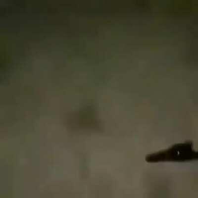 Momento yankilandia.