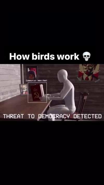 finally people are understanding 