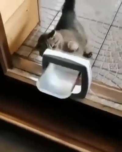 Her own punching bag