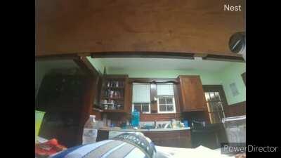 My brother fell down the stairs.