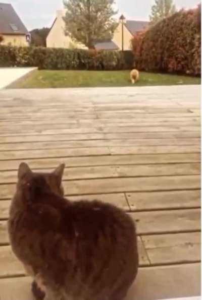 Open the f*cking door, NOW!!!