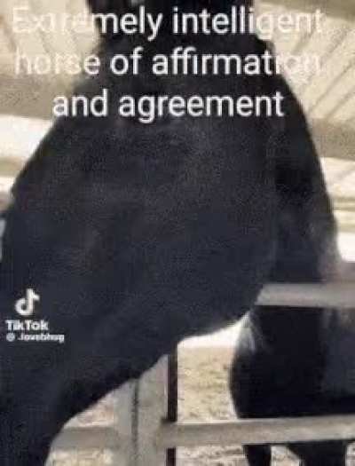 the horse of agreement