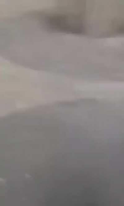 kid vanishes in the trash bin