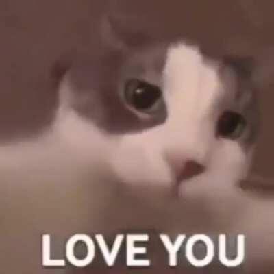 Happy Valentines Day❤ Day 9/20