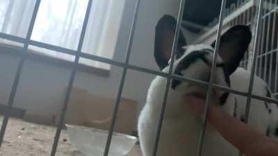 Spoon demands many things