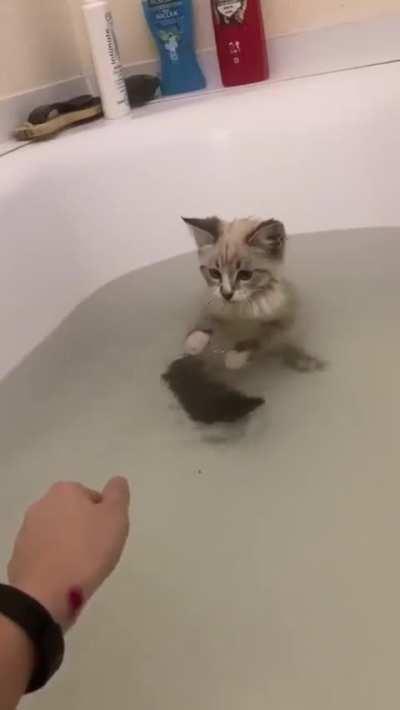 Playing In The Water