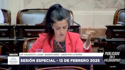 Luana Volnovich y el motivo por el que votó en contra de la Ficha Limpia