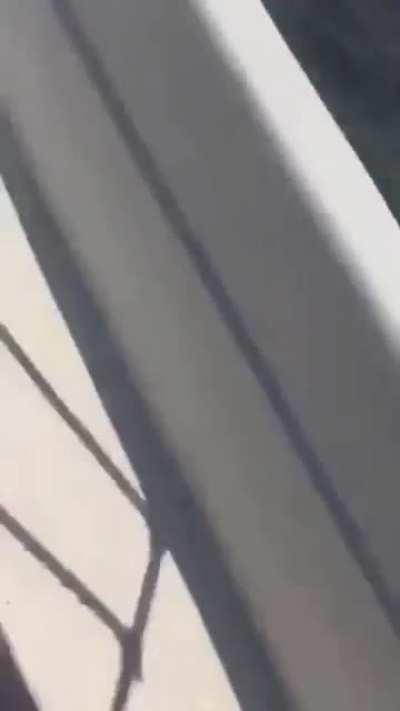 And the Darwin award goes to...