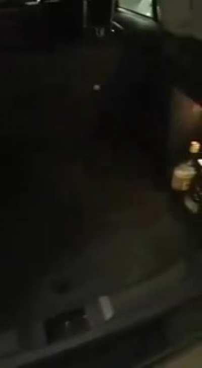 Nosim samo 3 litre rakije... I 3 gajbi pive.