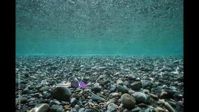 A vision for this came to me upon awaking this morning