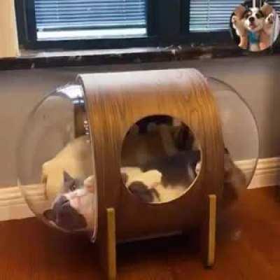 Please Leave me Alone!