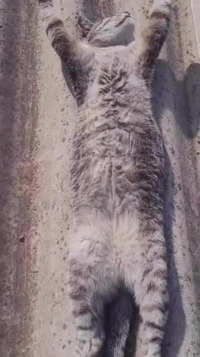 He is just recharging his battery tho lol...