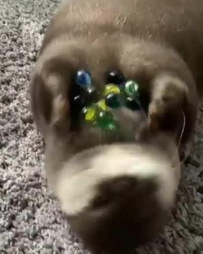 He wants his friggin' marbles