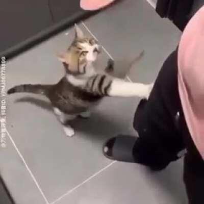 fotoğraf yanıltmasın