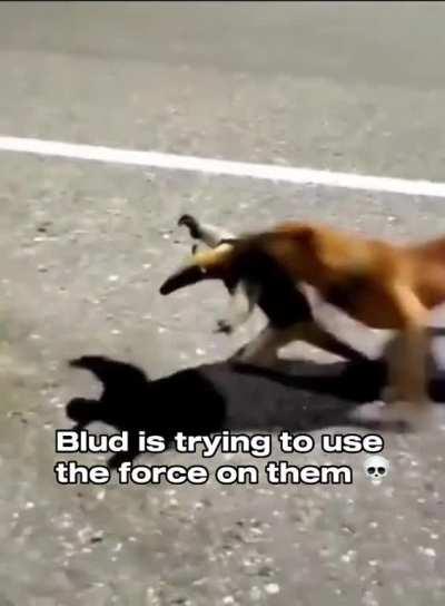 Bro is not a Jedi ð