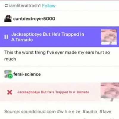 Can this get on meme time