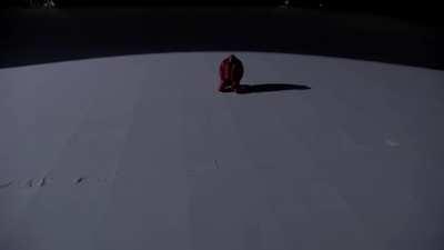 Never Abandon Your Family