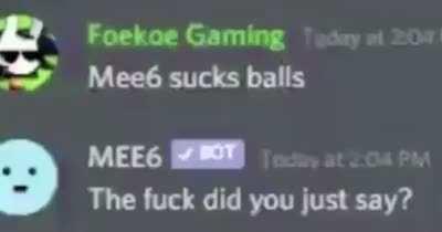 MEE6, the bot with sentience