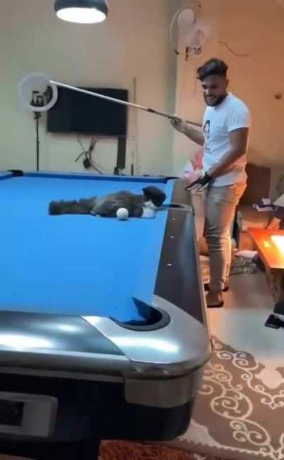 That's nothing. Watch this