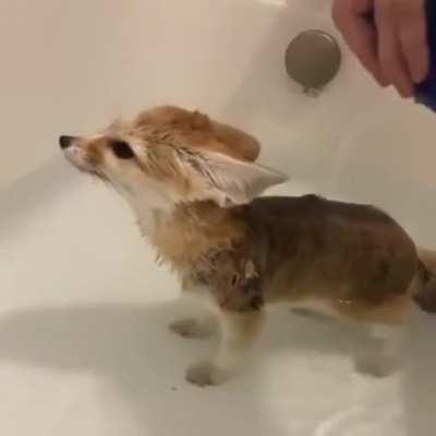 More content for y'all!