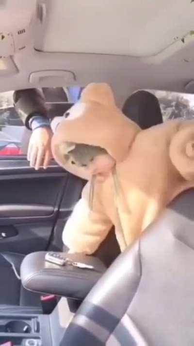 Kid locks itself in a car with the keys