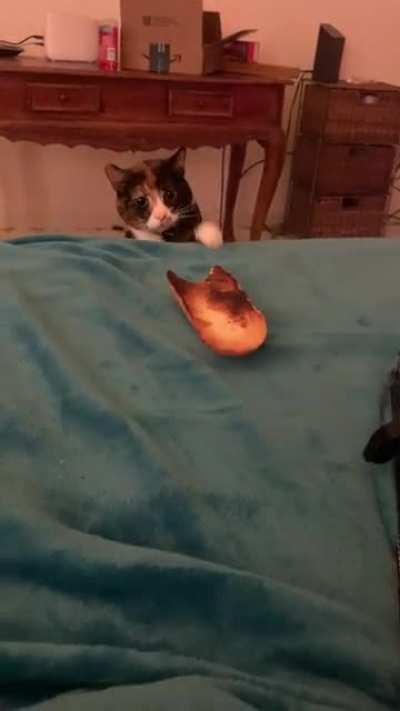 I was told to this sub might like my silly girl.