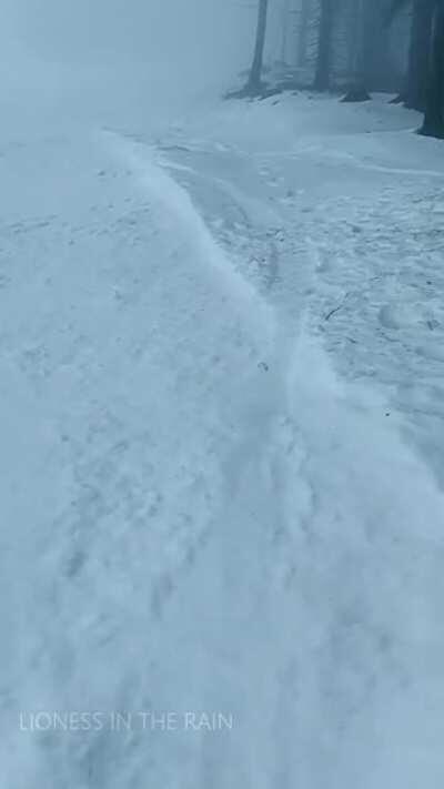 Do you think you would have been able to tell what I was doing through the fog? 😝 [GIF]