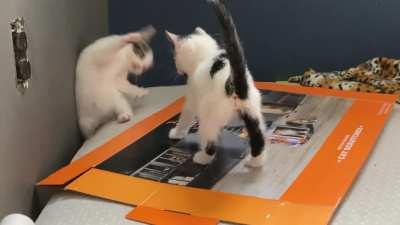 Smol miscatculation could be his Last