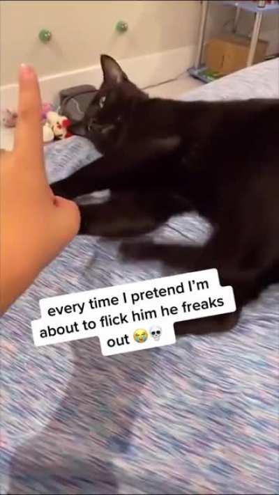 got a glitch in his software!!