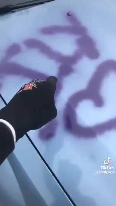 mad girlfriend destroys car