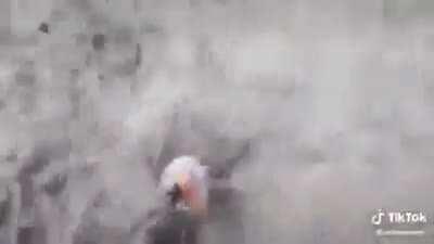 NatGeo should hire her