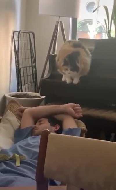 Oh what happened? Anyway now that you&rsquo;re up, can you feed me?