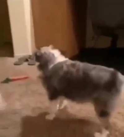 Yeah baby thats the move