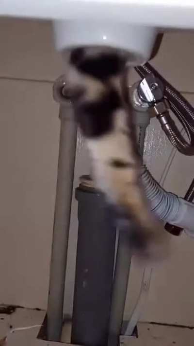 Pass me the screwdriver