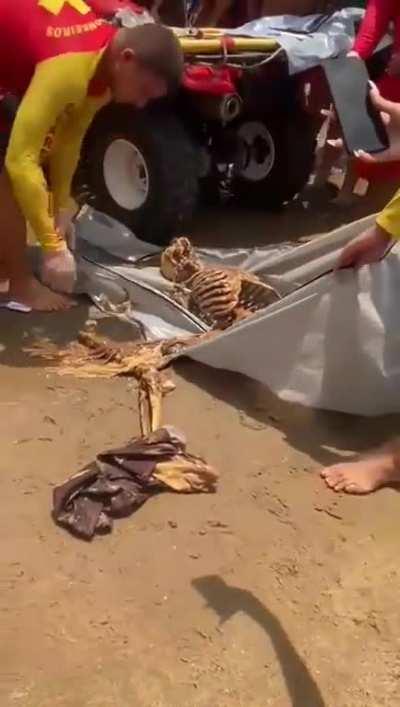 Bather finds bones while bathing in Ponta Negra Beach.