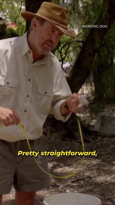 Farming in Australia is hard work