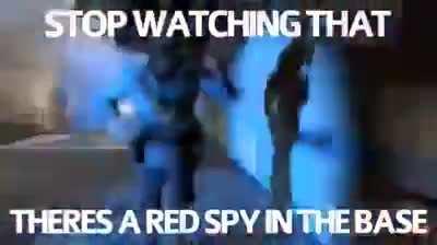 stop watching gay spider