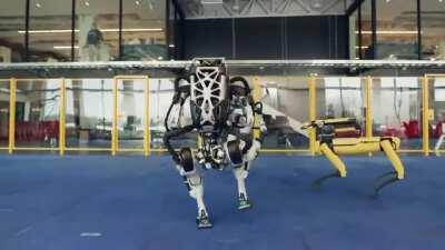 Boston Dynamics robots dancing to Autechre
