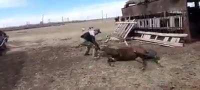 Начинающий дзюдоист - будущий полковник