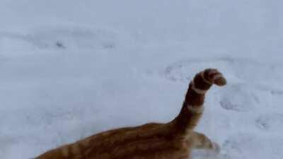 Greebles in the snow?