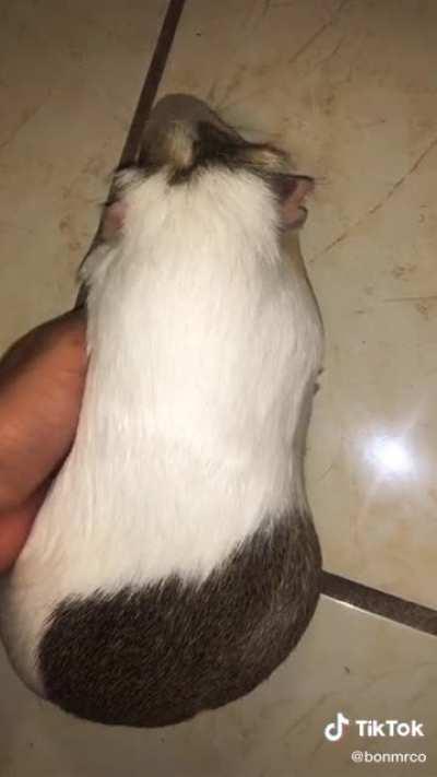 me acabe de despertar aaaaaaa