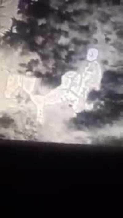 TIP: Don't fuck donkey near the military base