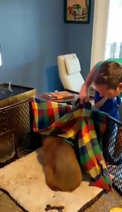 When your friend says their pet is a little shy