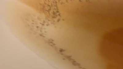 My town&rsquo;s water looks like this periodically.