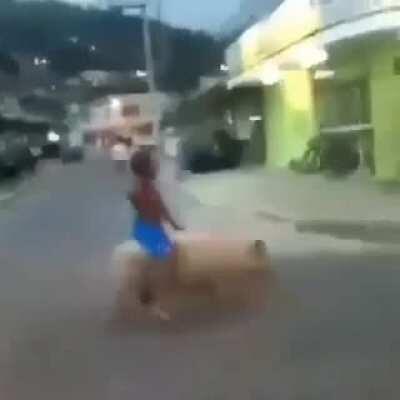 Não posso nem mais montar no adm 😡