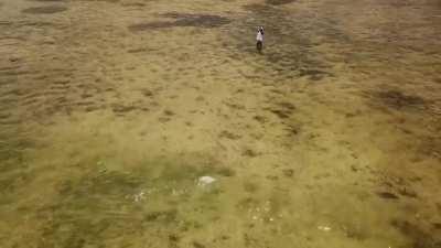 Bonefishing in the Caribbean