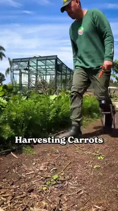 Is this genius or useless?