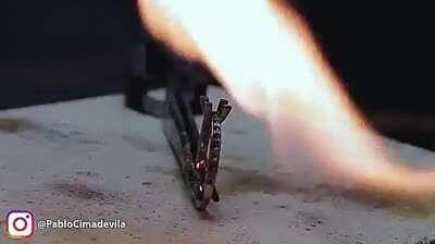 The delicate hand crafting of a black diamond ring