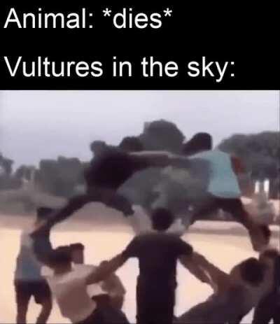 Going round and round